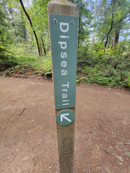 Trail marker reading Dipsea Trail with an arrow point to the left. In the medium distance are lush trees and undergrowth, while the earthen path surrounds the marker itself.