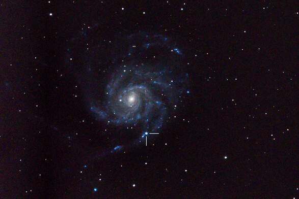 Supernova 2023ixf in the Pinwheel galaxy (M101)