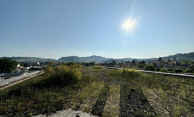Die Sonne steht schon hoch am blauen, wolkenlosen Himmel über dem Bantiger. Die Büsche auf der Dachterrasse werfen trotzdem noch lange Schatten.