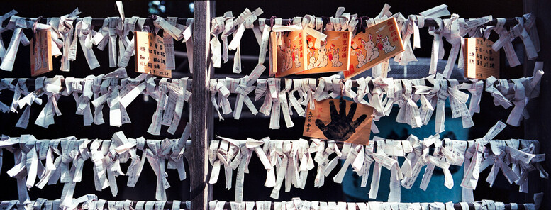 Knotted omikuji with Fujifilm TX-1 and Kodak Ektar 100.