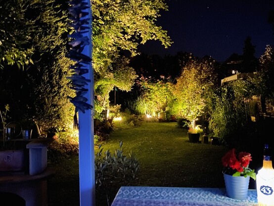 Blick von der Terrasse in den Garten. Bäume sind angestrahlt. Das Licht ist tatsächlich nicht so hell, macht die Kamera. Die komplette Beleuchtung ist LED und braucht  weniger als 30 Watt. 