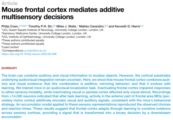 The title of the paper and the abstract, which reads: "The brain can combine auditory and visual information to localize objects. However, the cortical substrates underlying audiovisual integration remain uncertain. Here, we show that mouse frontal cortex combines auditory and visual evidence; that this combination is additive, mirroring behavior; and that it evolves with learning. We trained mice in an audiovisual localization task. Inactivating frontal cortex impaired responses to either sensory modality, while inactivating visual or parietal cortex affected only visual stimuli. Recordings from >14,000 neurons indicated that after task learning, activity in the anterior part of frontal area MOs (secondary motor cortex) additively encodes visual and auditory signals, consistent with the mice’s behavioral strategy. An accumulator model applied to these sensory representations reproduced the observed choices and reaction times. These results suggest that frontal cortex adapts through learning to combine evidence across sensory cortices, providing a signal that is transformed into a binary decision by a downstream accumulator."