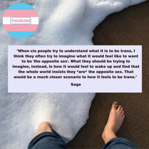 Picture of Sage's feet in the water. Text "When cis people try to understand what it is to be trans, I think they often try to imagine what it would feel like to want to be 'the opposite sex'. What they should be trying to imagine, instead, is how it would feel to wake up and find that the whole world insists they *are* the opposite sex. That would be a much closer scenario to how it feels to be trans." Sage 