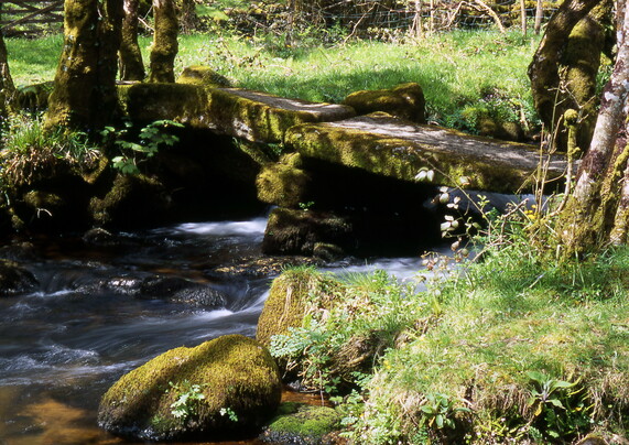 A bridge spans astream 