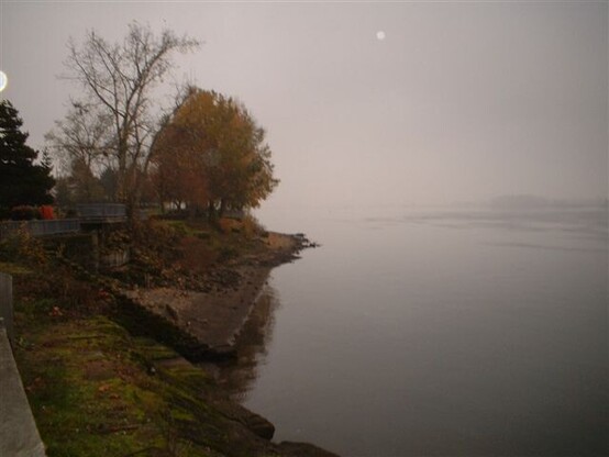 Rain or mist on the banks of a shadowy river, with trees and shrubs silhouetted against the lighter sky.