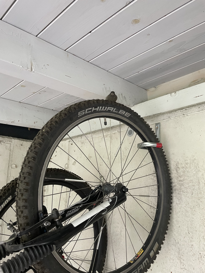 Black redtail on mountain bike tyre.