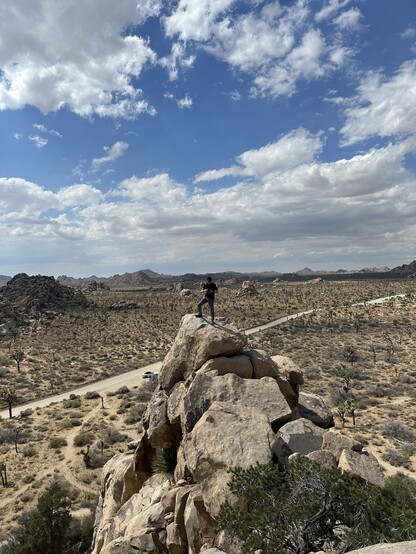 Frederik standing on tall rock in Joshua tree desert 