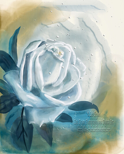 A single white rose against a burnished gold background, glows blue in the soft light of early morning.  Hand painted, digitally, using one of my own photos as a jumping off place, with Rebelle's water color brushes. 