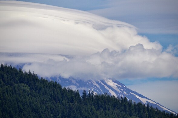 Smooth clouds graze and cover the top of a snow covered volcano with a slope of evergreen trees in the foreground.