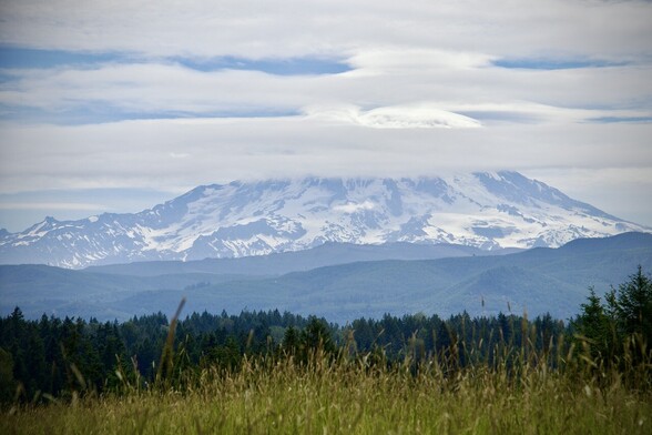 Snow covered volcano partially shrouded by clouds with evergreen trees and a yellow field in the foreground.