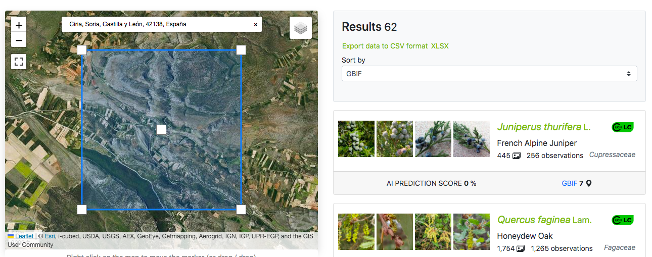Pantallazo de la web de localización de plantas. A la izquierda se muestra un mapa, con vista satelital, con un recuadro marcado encima y a la derecha vemos los resultados 62, encabezados por Juniperus thurifera y seguido por Querqus Faginea, o sea, sabinas, primero y luego robles.