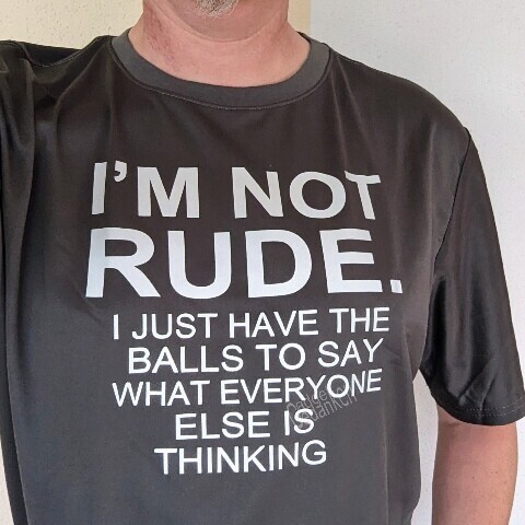 Person trägt ein graues T-Shirt mit dem Aufdruck: "I'm not rude. I just have the balls to say what everybody else is thinking."

Ich bin nicht unhöflich. Ich habe einfach die Eier zu sagen, was alle anderen denken