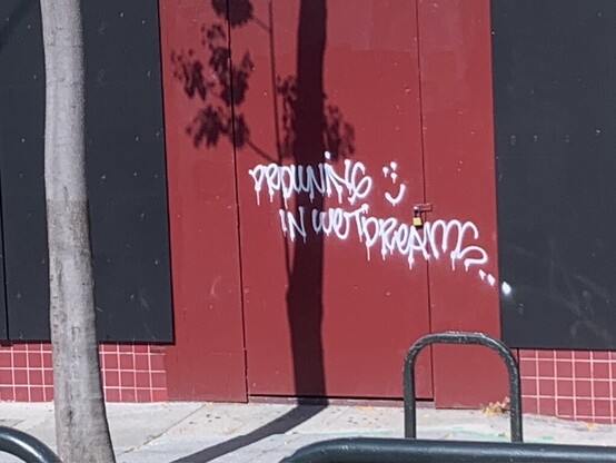 White graffiti on a dark red wall. The piece says "Drowning In Wet Dreams" in the unique San Francisco "Bus Flow" style. The tag is very drippy too. 