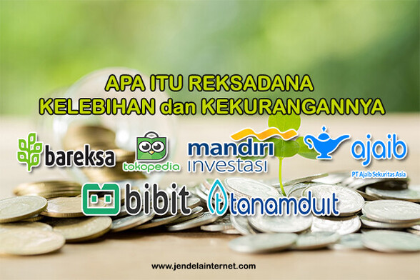 Apa Itu Reksadana, Kelebihan dan Kekurangannya | jendelainternet.com