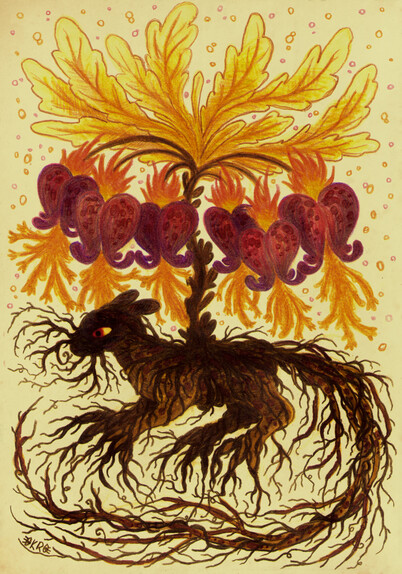 living mandrake root from which grows dicentra or "bleeding-hearts" 