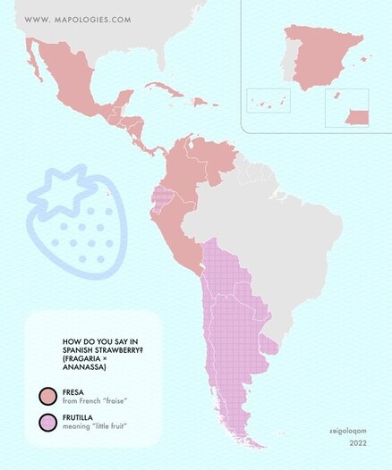 Map of the word strawberry in Spanish: frutilla or fresa