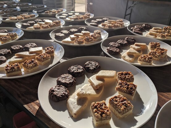 Multiple plates of cookies glazed in the afternoon sun. Chocolate espresso, shortbread, hazelnut squares.