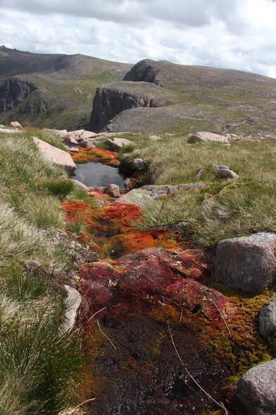 Some brightly coloured moss in the foreground - reds, oranges, greens - surrounding some small pools of water. In the distance some craggy hillsides.