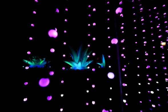 Bendigo Electric wonderland 