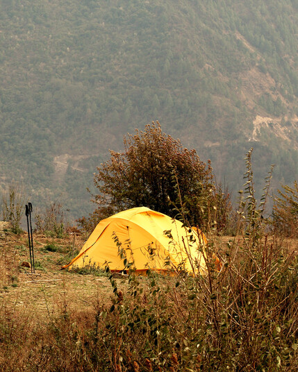 A yellow tent with a pair of walking poles 