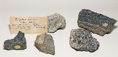 Sammlung von 1840

Kein Vogel kam geflogen ?

Credit Didier Descouens CC3.0