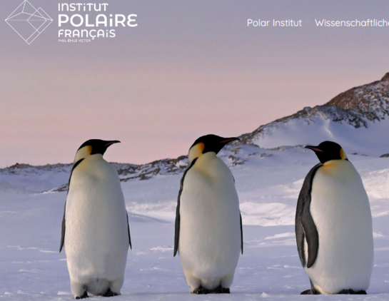 Zwei kucken nach LINKS
einer Nach RECHTS
Pinguine auf dem Gebiet der Antarktis

Credit Screenshot
Juli 2023
Institut Polargebiete Frankreich