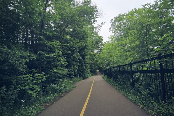 Fresco, brisa, verde, paciencia en bicicleta.