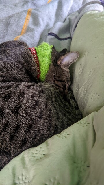 Juan Francisco 😽