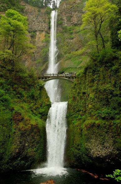 Two cascading waterfalls with an over bridge separating them surrounded by lush greenery