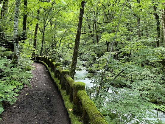 A moss covered concrete railing near Lake Towada, Oirase Mountain Stream in Akita Prefecture, Japan