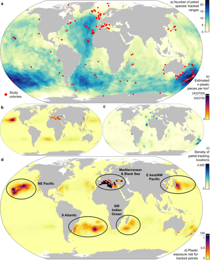 Plastic exposure risk varies greatly among species and populations, and between breeding and non-breeding seasons. Exposure risk is disproportionately high for Threatened species. Outside the Mediterranean and Black seas, exposure risk is highest in the high seas and Exclusive Economic Zones (EEZs) of the USA, Japan, and the UK. Birds generally had higher plastic exposure risk outside the EEZ of the country where they breed. We identify conservation and research priorities, and highlight that international collaboration is key to addressing the impacts of marine plastic on wide-ranging species.