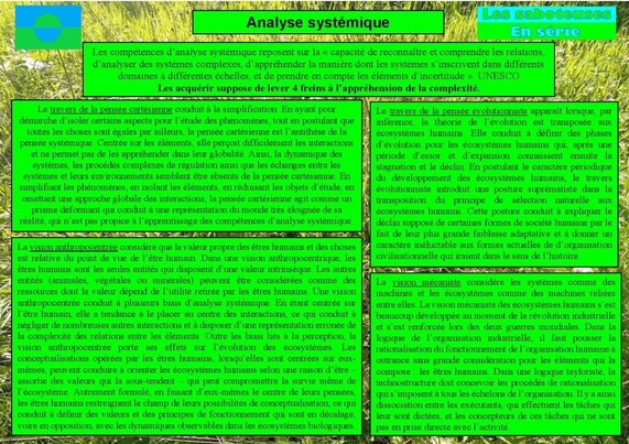 Analyse systémique : les freins à l'appréhension de la complexité