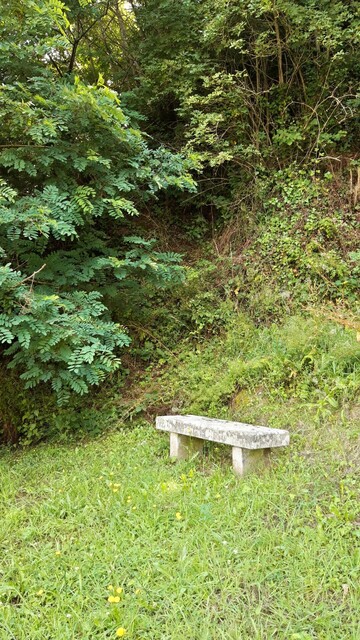 Un petit banc en pierre simple, perdu dans la végétation (sur le chemin qui mène au château de Léhon près de Dinan)