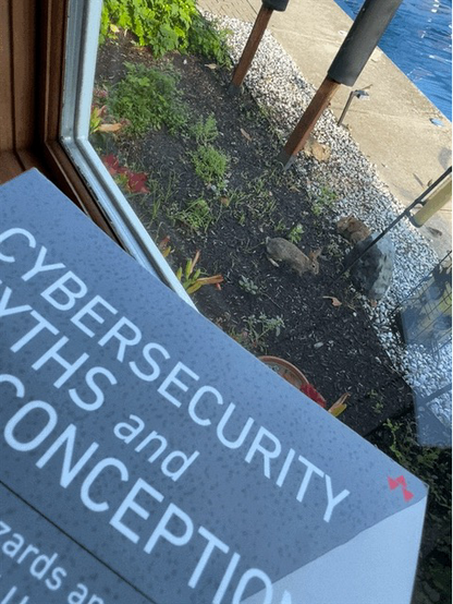Looped image of rabbits running in circles in the flower bed. In the foreground is the book Cybersecurity Myths and Misconceptions  : Avoiding the Hazards and Pitfalls that Derail Us   