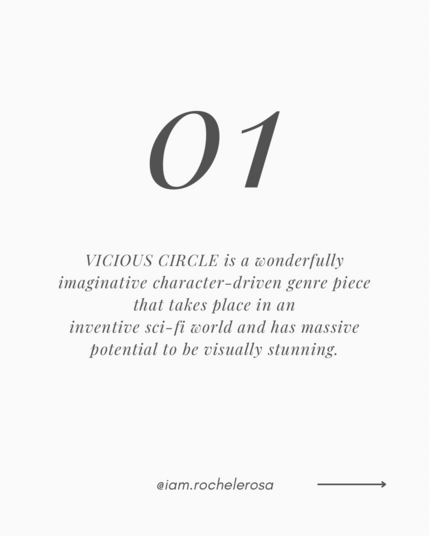 Infographic with praise for Vicious Circle by Rochele Rosa