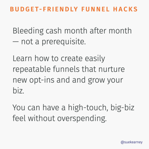 BUDGET-FRIENDLY FUNNEL HACKS Bleeding cash month after month — not a prerequisite. Learn how to create easily repeatable funnels that nurture new opt-ins and and grow your biz. You can have a high-touch, big-biz feel without overspending.

@suekearney 