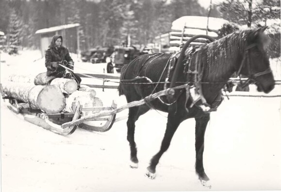 During the war years, women also had to do men's jobs (e.g. my grandmother when my grandfather was in the war). forest work - photo: Pielinen museum Finland 
