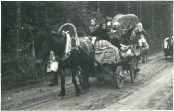 Women, children and grandmothers evacuated 
photo: Finnish War Museum 