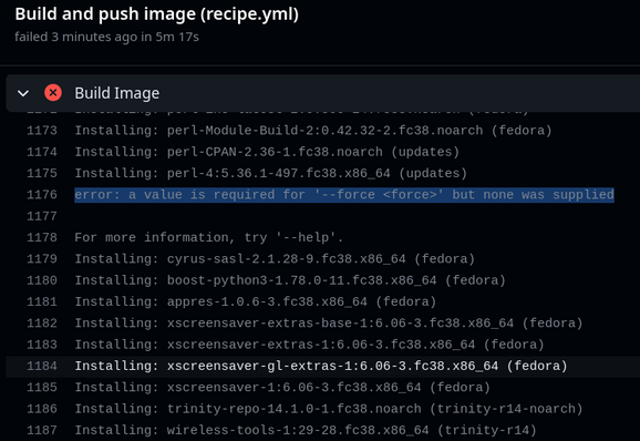 Screenshot of a GitHub actions summary. A Build Image error is displayed stating "error: a value is required for '--force <force>' but none was supplied".