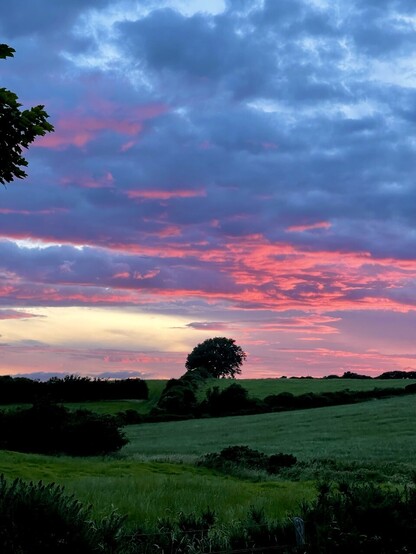 Pink skies over green fields as the sun sets in Ireland.