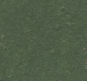 Weide ohne Wildschweischäden