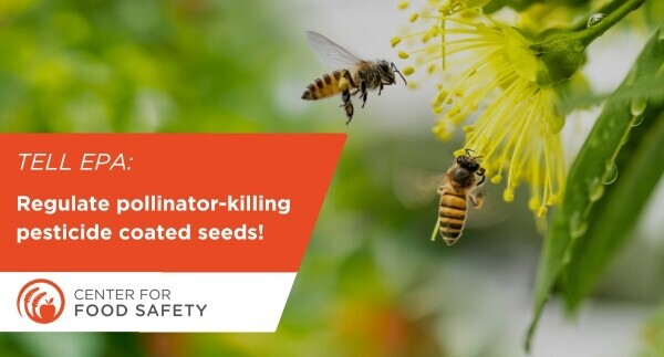 Two bees hover near a yellow flower. Text: Tell EPA: Regulate pollinator-killing pesticide coated Seeds! Center for Food Safety