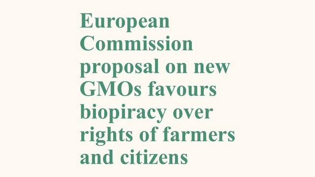 ☣️The @EU_Commission proposal on new #GMO gives centre stage to #biopiracy and the #privatization of #seeds by #patent holding companies! @ECVC1/@via_campesina call on the @Europarl_EN & @EUCouncil to reject this unacceptable proposal:
➡️ https://www.eurovia.org/press-releases/european-commission-proposal-on-new-gmos-favours-biopiracy-over-rights-of-farmers-and-citizens

#StopGMO #UNDROP @ecvc@climatejustice.global