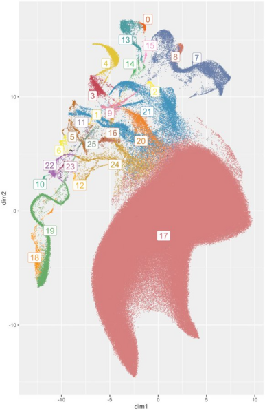 2D UMAP of a large biobank coloured by HDBSCAN clusters.