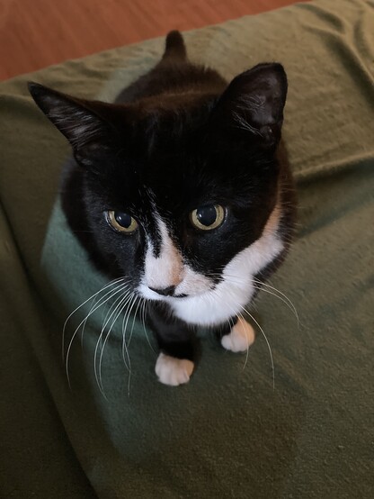 Kiki is wondering why I am working so late.
