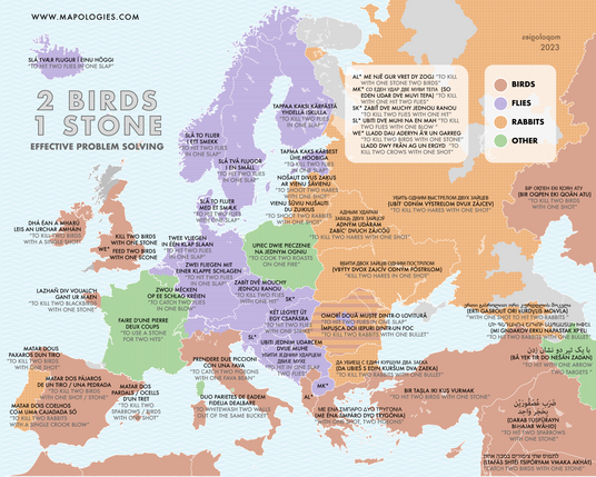 mapping the expression "to kill two bird with one stone" in different languages