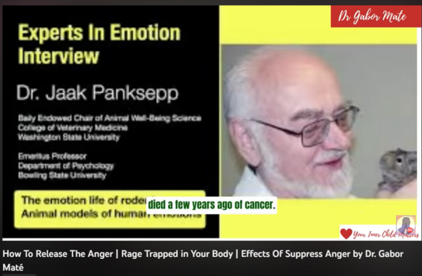 108,675 views  29 Dec 2022  #GaborMate #trauma #AngerManagement
How To Release The Anger | Rage Trapped in Your Body | Effects Of  Suppress Anger by Dr. Gabor Maté

Hi welcome! YOUR INNER CHILD Matters. I'm a nurse, a mother, and a video editor. I'm passionate about sharing mental health awareness, parenting, and health education, and I created this channel with the mission and hope of motivating and helping anybody who is going through a difficult time. 

People have various ways of responding to anger. While some people choose to verbally express their rage through shouting, cursing, arguing, or yelling, others choose to physically do so (throwing things, breaking objects, hitting walls, or getting into fights). Some people, on the other hand, choose to suppress their anger rather than expressing it in any way.

💖 Who is Dr Gabor Mate?
Dr. Gabor Maté is a retired physician, bestselling author, and well-known speaker who is in high demand for his knowledge of addiction, trauma, stress, and childhood development. He is the author of four best-selling books, including the award-winning In the Realm of Hungry Ghosts: Close Encounters with Addiction. For his groundbreaking medical work and writing, he has received the Order of Canada (Canada's equivalent of the MBE) and the Civic Merit Award from his hometown of Vancouver.