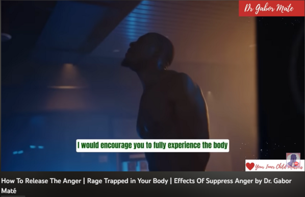 108,675 views  29 Dec 2022  #GaborMate #trauma #AngerManagement
How To Release The Anger | Rage Trapped in Your Body | Effects Of  Suppress Anger by Dr. Gabor Maté

Hi welcome! YOUR INNER CHILD Matters. I'm a nurse, a mother, and a video editor. I'm passionate about sharing mental health awareness, parenting, and health education, and I created this channel with the mission and hope of motivating and helping anybody who is going through a difficult time. 

People have various ways of responding to anger. While some people choose to verbally express their rage through shouting, cursing, arguing, or yelling, others choose to physically do so (throwing things, breaking objects, hitting walls, or getting into fights). Some people, on the other hand, choose to suppress their anger rather than expressing it in any way.

💖 Who is Dr Gabor Mate?
Dr. Gabor Maté is a retired physician, bestselling author, and well-known speaker who is in high demand for his knowledge of addiction, trauma, stress, and childhood development. He is the author of four best-selling books, including the award-winning In the Realm of Hungry Ghosts: Close Encounters with Addiction. For his groundbreaking medical work and writing, he has received the Order of Canada (Canada's equivalent of the MBE) and the Civic Merit Award from his hometown of Vancouver.