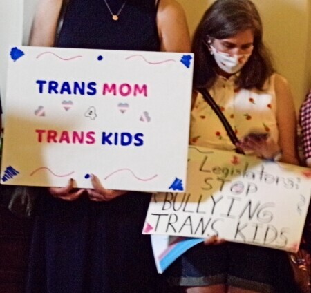 One of the many informational protests held in Austin asking legislators not to ban medically necessary treatments. 