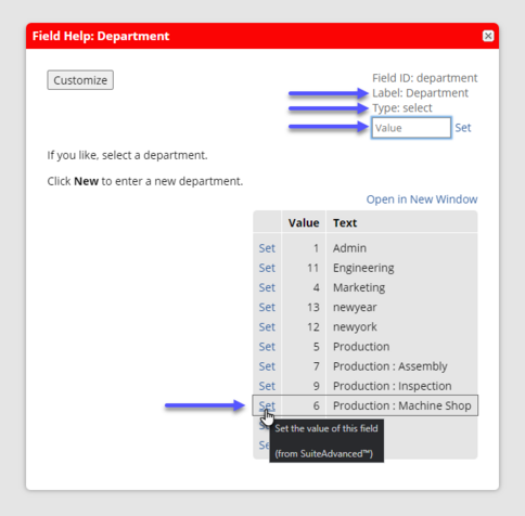 A Field Help modal window in NetSuite showing the field label, field type and option to set the value of the field